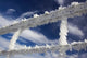 Frosty Wire Fence Poster Print by David Wall depicting winter landscape in Otago, South Island, New Zealand.