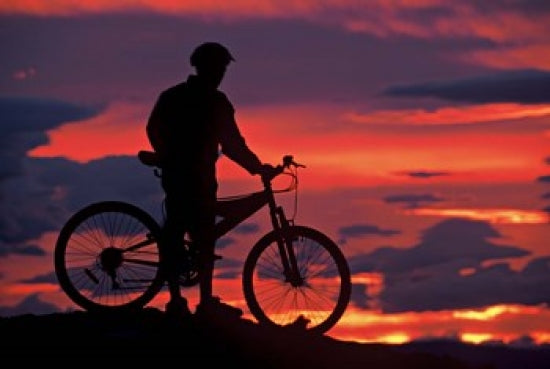 Mountain Biker at Sunset in Dunstan Mountains Poster Print by David Wall