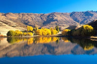 Pisa Range and Lowburn Inlet near Cromwell Poster Print by David Wall