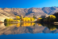 Fine art print of Pisa Range and Lowburn Inlet by David Wall, showcasing New Zealand's stunning landscape.