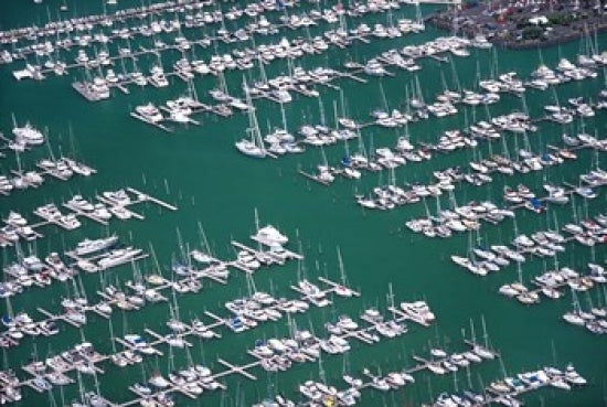 Westhaven Marina, Waitemata Harbor poster print by David Wall