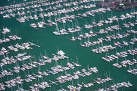 Westhaven Marina, Waitemata Harbor poster print by David Wall