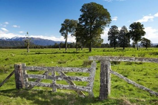 Gate and Farmland near Fox Glacier fine art print by David Wall
