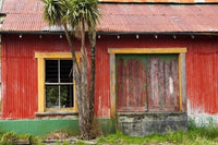 Golden Nugget Hotel Shantytown Poster Print by David Wall