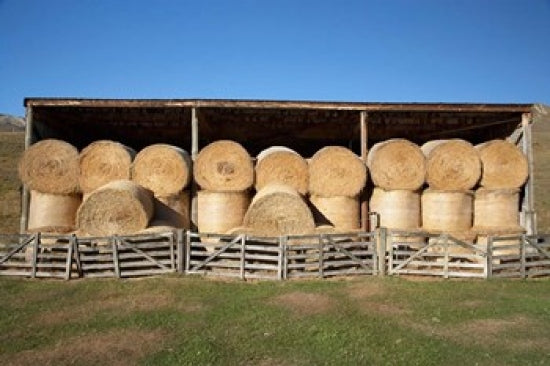 Fine art print of Hay Barn in Ahuriri Valley by David Wall