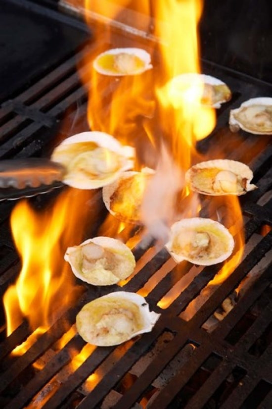 Scallops on Barbeque Poster Print by David Wall showcasing delicious grilled scallops.
