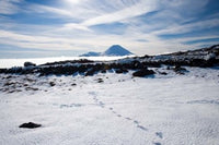 Footsteps in Snow and Mt Ngauruhoe Poster Print by David Wall, depicting Tongariro National Park, New Zealand.