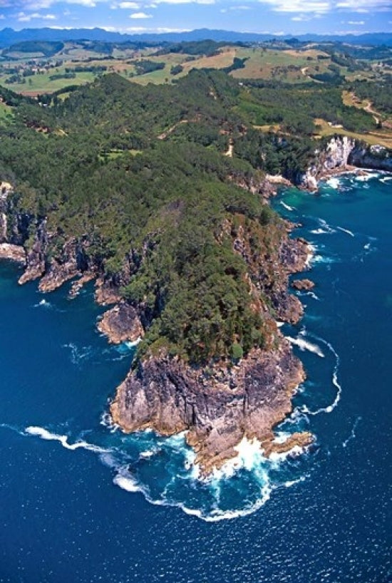 Coast South of Hahei Poster Print by David Wall showcasing the beauty of Coromandel Peninsula.