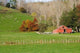 Wool Shed and Farmland Poster Print by David Wall showcasing the natural beauty of Kawhatau Valley, New Zealand.