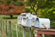 Letterboxes in King Country, North Island, New Zealand poster print by David Wall