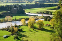Rangitikei River Poster Print by David Wall featuring serene landscape