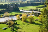 Rangitikei River near Ohingaiti New Zealand Poster Print by David Wall