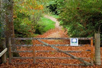 Gate and Oak Leaves Fine Art Print by David Wall - Taranaki, New Zealand