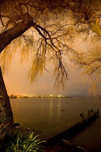 City Lights Across Lake Rotorua Poster Print by David Wall