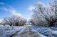 Hoar Frost near Oturehua Fine Art Print by David Wall, showcasing the serene landscape of South Island, New Zealand.