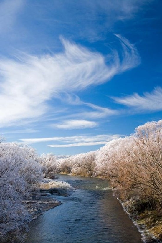 Manuherikia River and Hoar Frost Poster Print by David Wall showcasing serene New Zealand landscape.