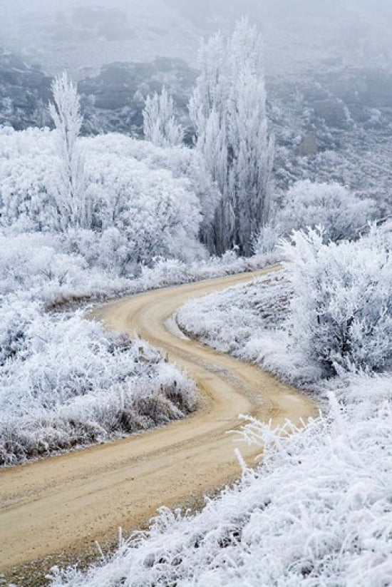 Hoar Frost and Road by Butchers Dam, South Island, New Zealand Poster Print by David Wall