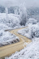 Hoar Frost and Road by Butchers Dam, South Island, New Zealand Poster Print by David Wall