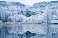 Reflections and Hoar Frost at Butchers Dam Poster Print by David Wall