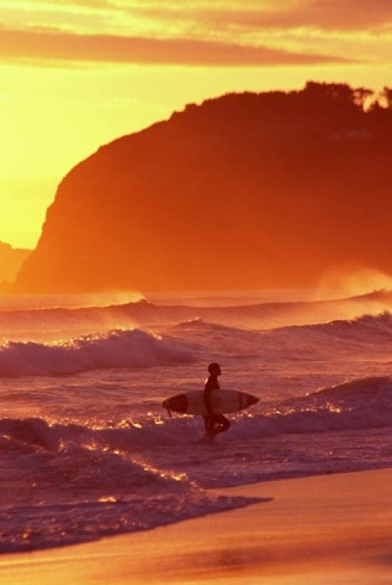 Surfer at Sunset, St Kilda Beach, Dunedin, New Zealand Poster Print by David Wall