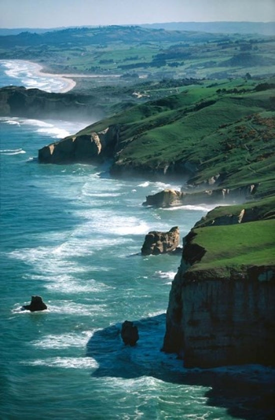 Dunedin Coast near Tunnel Beach Poster Print by David Wall