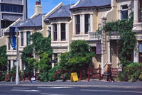 Historic Terrace Houses Poster Print by David Wall showcasing Dunedin architecture
