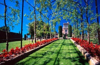 Larnach Castle Poster Print by David Wall showcasing Dunedin, New Zealand