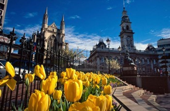 Municipal Chambers and St Pauls, Dunedin, New Zealand Poster Print by David Wall