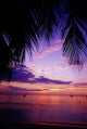 http://c328301.r1.cf1.rackcdn.com/PDDCA22GJO0020.jpg