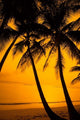 http://c328301.r1.cf1.rackcdn.com/PDDCA27BBA0021.jpg