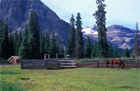 http://c328301.r1.cf1.rackcdn.com/PDDCN01JMI0003.jpg