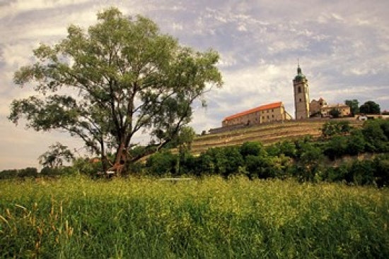 Renaissance Chateau in Melnik Poster Print by Walter Bibikow
