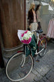 Bicycle parked in Copenhagen Poster Print by David Barnes