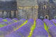 Lavender Field and Senanque Abbey Poster Print by Jaynes Gallery