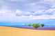 Provence Lavender and Wheat Crops Poster Print by Jim Nilsen