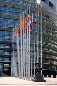 Union Parliament and Flags, Strasbourg, France poster print.