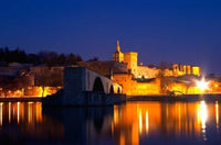 Pope's Palace on the Rhone and Pont Saint Benezet Poster Print