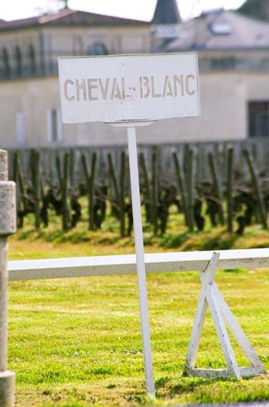 Vineyard and Chateau Cheval Blanc Poster Print by Per Karlsson