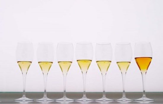 Wine Tasting Glasses Poster Print by Per Karlsson, elegant art for home decor