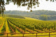 Chateau Carignan Poster Print featuring a beautiful Bordeaux landscape.
