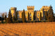 Vineyard with Syrah Vines and Chateau des Fines Roches Poster Print