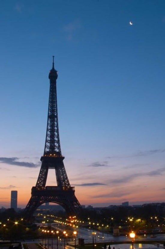 Eiffel Tower and Trocadero Square Poster Print by Per Karlsson