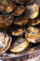 http://c328301.r1.cf1.rackcdn.com/PDDEU09PKA1224.jpg