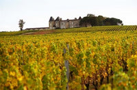 Vineyard and Medieval Chateau Poster Print by Per Karlsson.