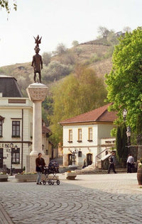 Main Square with Statue, Tokaj, Hungary Poster Print by Per Karlsson