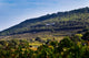 Vacqueyras Vineyards Poster Print by Per Karlsson showcasing lush vineyards in France.