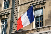 French Flag Facade of Justice Palace Paris Poster Print