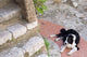 Eze-Village Cote d'Azur Poster Print by Sergio Pitamitz