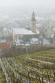 Alsatian Wine Village Poster Print by Walter Bibikow
