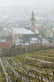 Alsatian Wine Village Fine Art Print by Walter Bibikow showcasing a picturesque French landscape.